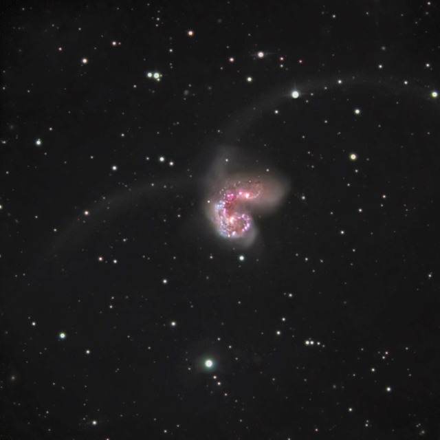 100218 NGC 4038Color 24in RC p